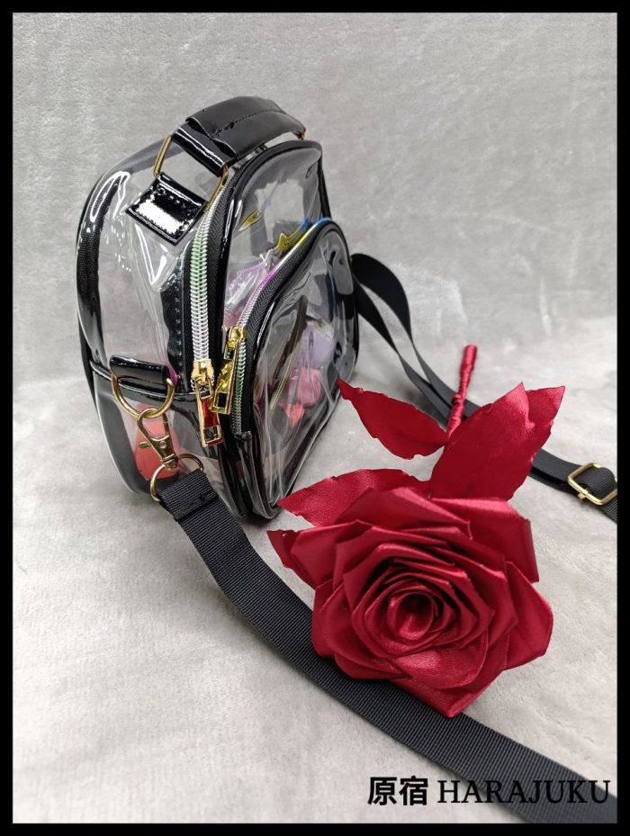 Bolsos Trendy transparentes